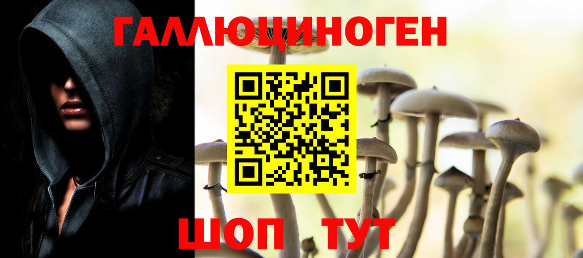 Великий Устюг  Псилоцибиновые грибы GOLDEN TEACHER  Вход с VPN  хочу наркоту  Псилоцибиновые грибы мухоморы 